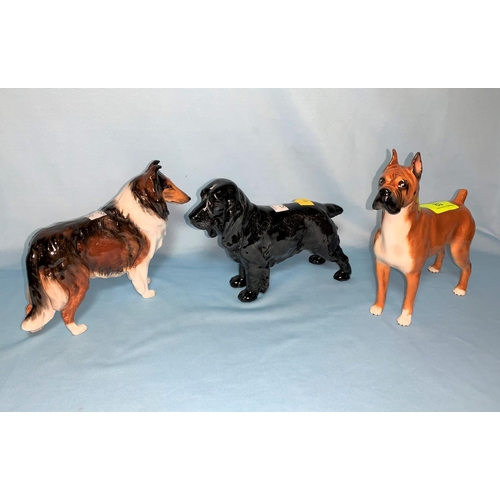 52 - 3 Royal Doulton dogs - black Spaniel HN1020, Boxer HN2643, Collie HN1058