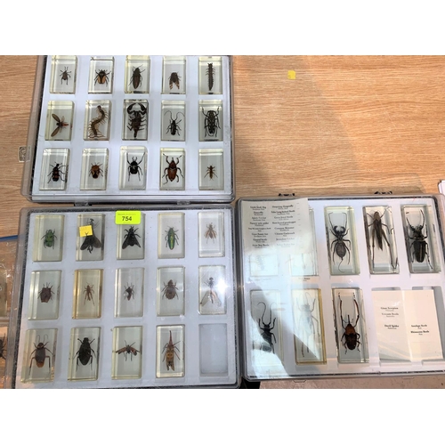 754 - A collection of insects each individually mounted in perspex box, approx 40