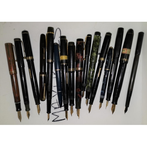 301 - 14 various unboxed vintage fountain pens