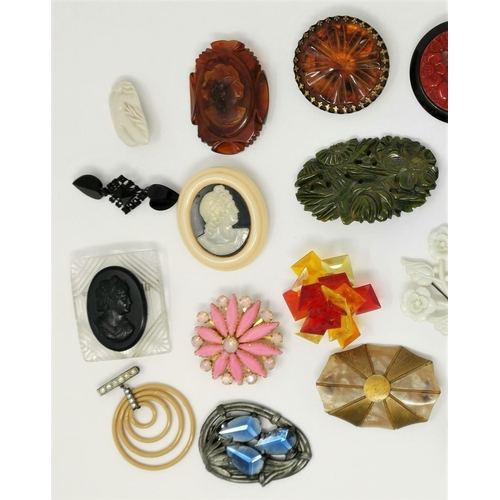 328 - A selection of early / mid 20th century plastic and composition brooches