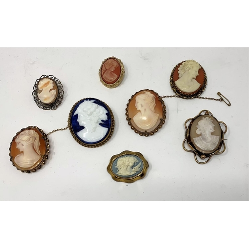 281 - 8 Victorian style oval shell cameo brooches