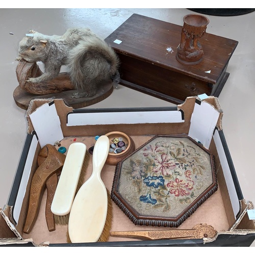 74 - A selection of bric a brac including a taxidermy example of a grey squirrel etc