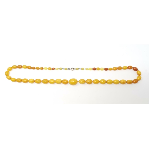 455 - A butterscotch amber coloured necklace,  55gm, longest bead 2.2cm, length of necklace app 76cm
