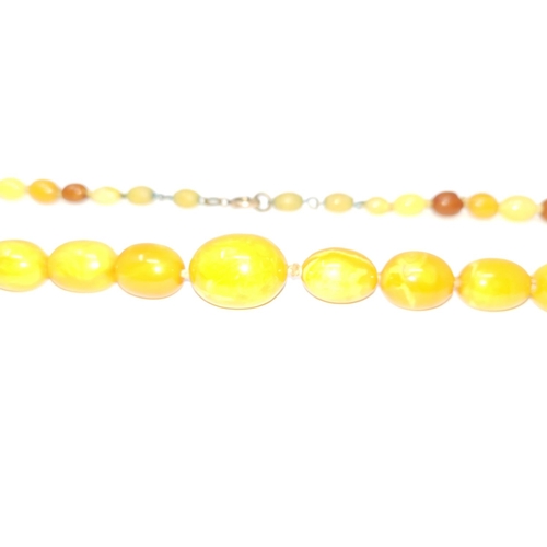 455 - A butterscotch amber coloured necklace,  55gm, longest bead 2.2cm, length of necklace app 76cm