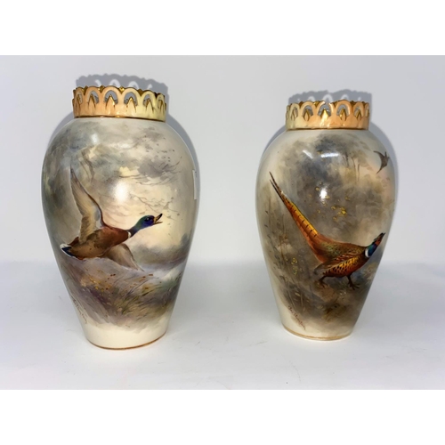 181 - A Royal Worcester pair of baluster vases with pierced and gilded rims, hand painted with pheasant an... 