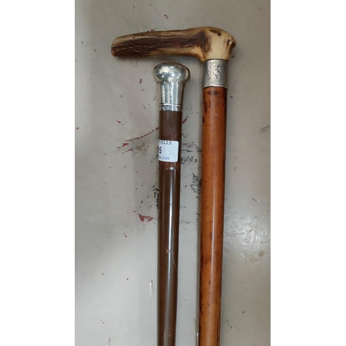 95 - Silver topped walking cane; another with horned handle and a silver collar.