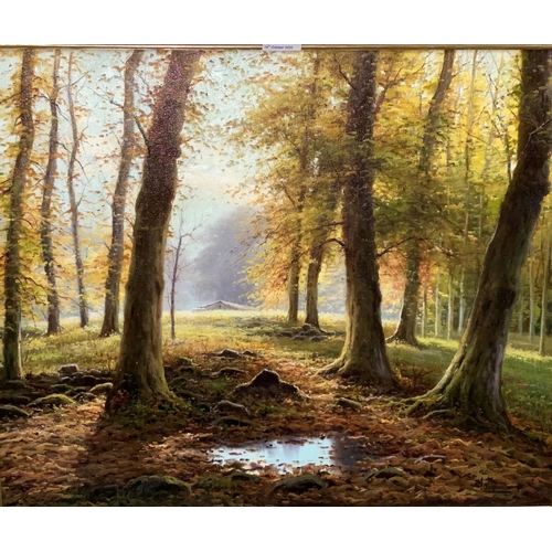 452 - Amado Torresechandi:  Woodland landscape in autumn, oil on canvas, 49 x 59 cm, gilt framed