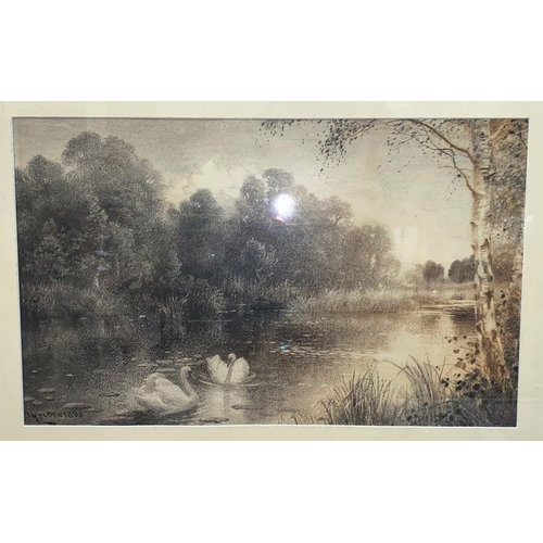 454 - J Holden:  Swans on a river, charcoal sketch, signed and dated 1898, 35 x 57 cm, framed and glazed; ... 