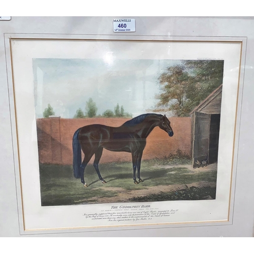 460 - 19th century style print:  The Godolphin Barb, framed and glazed; a reproduction pair of 19th centur... 