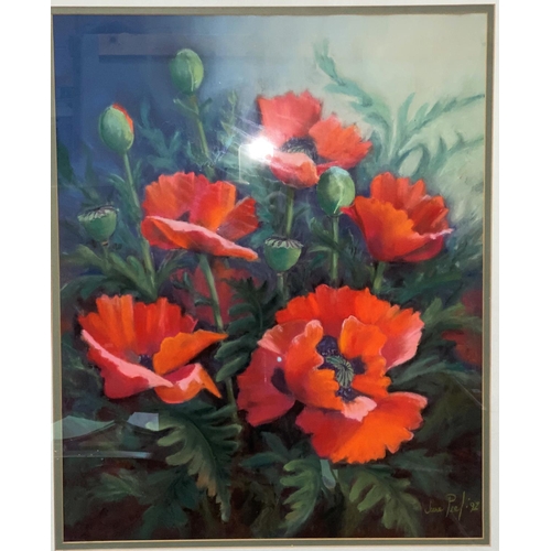467 - June Peel; Still life of Poppies in bud/full flower, watercolour, framed (artist label en verso) 53x... 