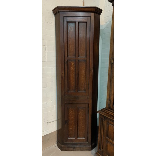 651 - A 19th Century full height thin corner cupboard with panelled doors, above and below.