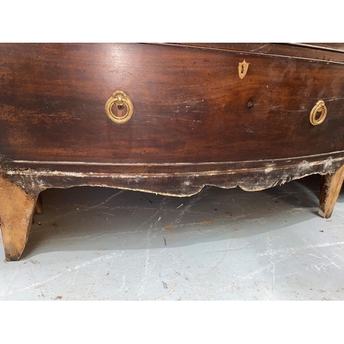 528 - A late Georgian bow front chest of 2 short and 3 long drawers, with caddy top, 95 cm (a.f.)
