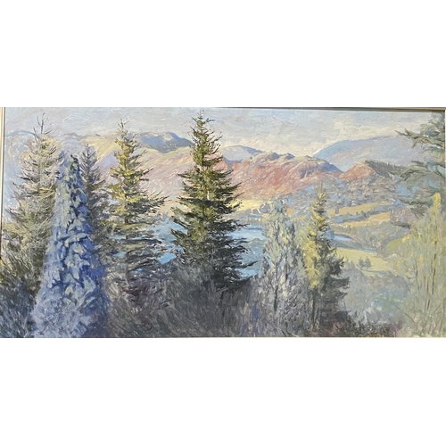 448 - M Beresford-Williams:  Impressionistic Lakeland landscape with fir trees, oil on board, signed, 70 x... 