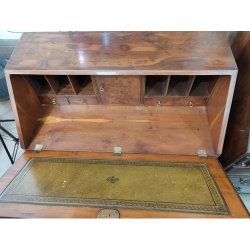 484 - A reproduction crossbanded yew wood bureau with fall front, 3 long and 2 short drawers, width 51