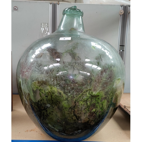 9 - A glass carboy, planted