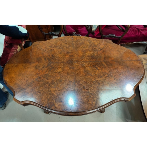 545 - A 19th century shaped oval burr walnut loo / dining table on carved and turned baluster column and q... 