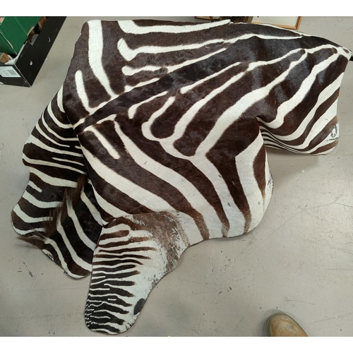 131 - A zebra skin rug/throw mounted on a black material with weights on the inside, length 184cm
