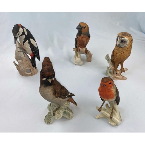 64 - A collection of 5 large Goebel birds including owl, woodpecker, robin etc