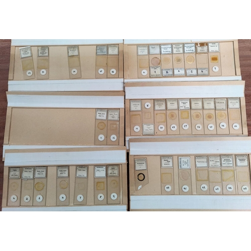511 - A selection of microscope slides with specimens of Hydrtozoa and Protozoa, many by Fletters & Gamett... 