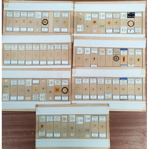 512 - A selection of microscope slides depicting reproduction in plants; by Fletters & Gamett, Manchester.