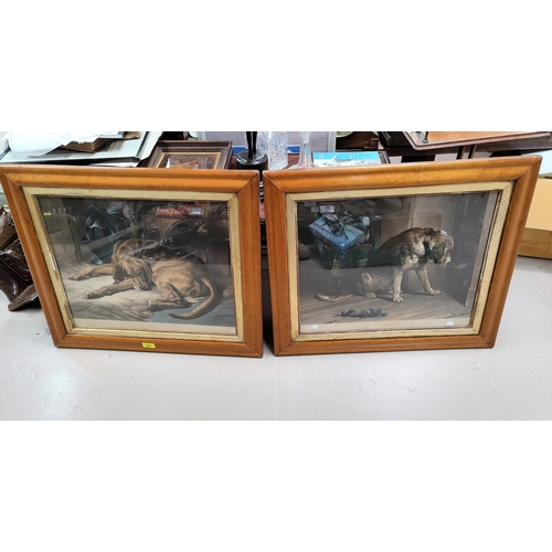 307 - A pair of 19th century coloured engravings after Landseer, 