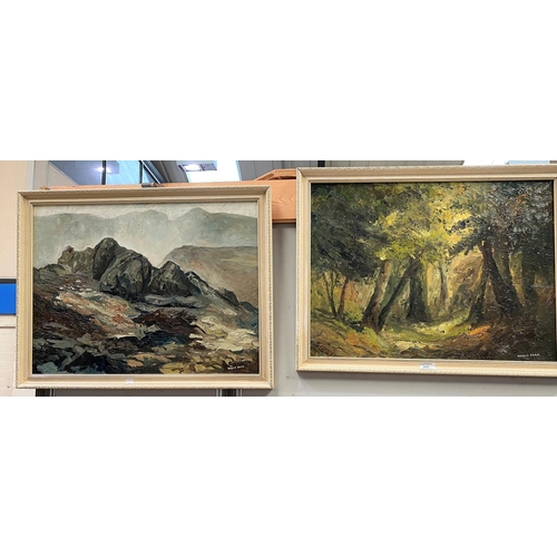 465 - Harold Peak:  Rocky mountainous landscape & a forest glade, 2 oils on board, signed, 45 x 59 cm & 44... 