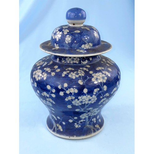 390A - A 19th Century blue and white lidded squat baluster vase decorated with prunus blossom, with double ... 