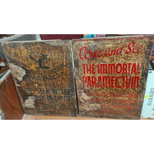 110C - A pair of early 20th century paper on tin signs advertising a Circus Flea Show - Come and See the Im... 