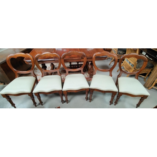 726 - A Victorian set of 6 mahogany dining chairs with balloon backs reupholstered in patterned cream dama... 