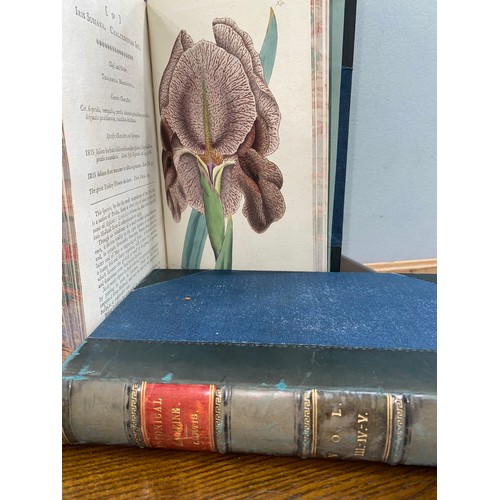 196 - CURTIS (William) - The Botanical Magazine or Flower Garden Displayed, volumes 1 - 6, bound in two in... 
