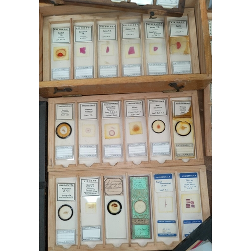 117 - A selection of prepared medical and other scientific slides in 8 various boxes