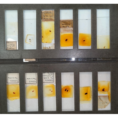 117 - A selection of prepared medical and other scientific slides in 8 various boxes