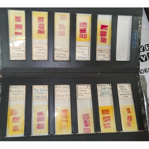 117 - A selection of prepared medical and other scientific slides in 8 various boxes