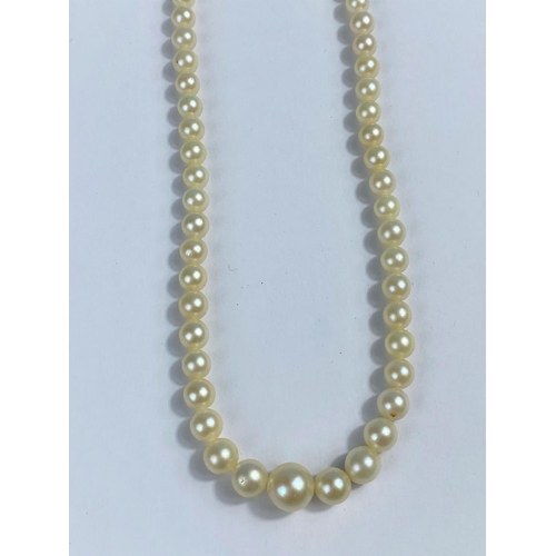 573 - A cultured pearl graduated necklace with pearl set clasp, stamped '750'