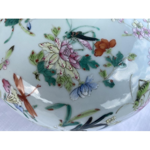 345G - A Chinese famille rose shallow lidded bowl with internal divisions, decorated with flowers and insec... 