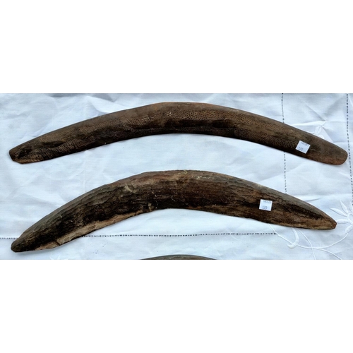 179 - Four Aboriginal tribal carved boomerangs, one with carved decoration, longest 66cm, shortest 54cm