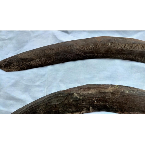 179 - Four Aboriginal tribal carved boomerangs, one with carved decoration, longest 66cm, shortest 54cm