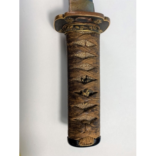 170 - A 19th century Japanese Tanto (O-Tanto) short sword with lacquer scabbard with gilt decoration of le... 