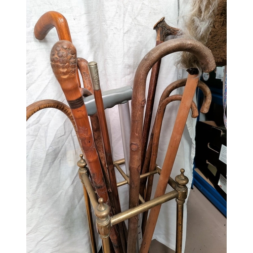 88 - A brass stick stand and sticks