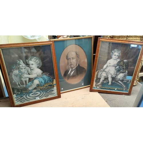 Lot 645       