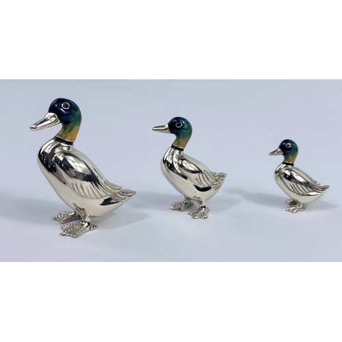 522 - A continental set of 3 graduating mallard ducks in silver and enamel, London import marks