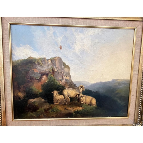 661 - BRITISH 19th Century, oil on canvas, Moorland Scene with sheep below a rocky outcrop, 34 x 43cm, gil... 