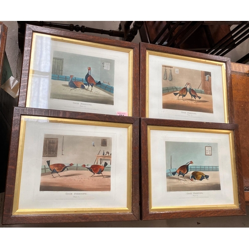 664 - SAMUEL ALKIN: Cock fighting, the set of four hand coloured prints, 19th century,20 x 23cm, uniformly... 