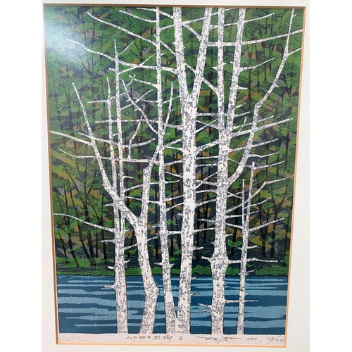 647A - Fumio Fujita, 1933, Japan:  colour woodblock print of silver birch trees, signed in pencil, dated 19... 