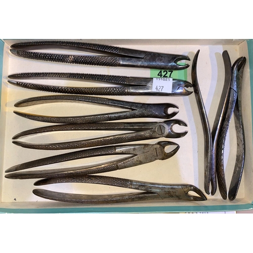 427 - DENTISTRY - a group of 9 late 19th century extraction forceps by J.GRAY & SON, Sheffield

NO BIDS SO... 