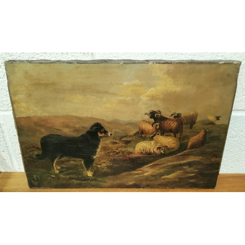 720 - A 19th century oil on canvas of a sheep dog watching sheep on a mountainside unsigned and unframed 3... 