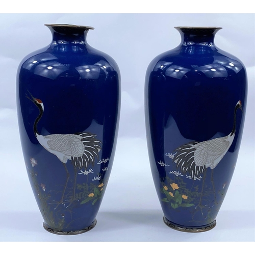 408 - A pair of Japanese cloisonne vases, deep blue ground decorated with crane and flowers, height 30cm (... 