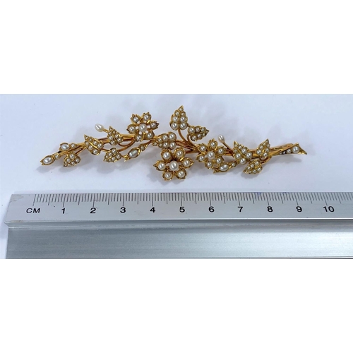 670 - A yellow metal brooch in the form of an elongated leaf and flower, set seed pearls