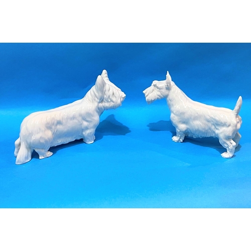 596 - Two modern Meissen blanc de chine figures of Scottie dogs, length 20cm and 18cm.  Glazed