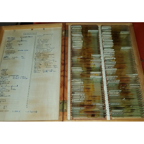 55 - A large collection of microscope slides